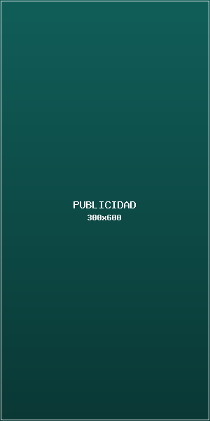 Anuncio de ejemplo Lateral (Rascacielos) (300x600)
